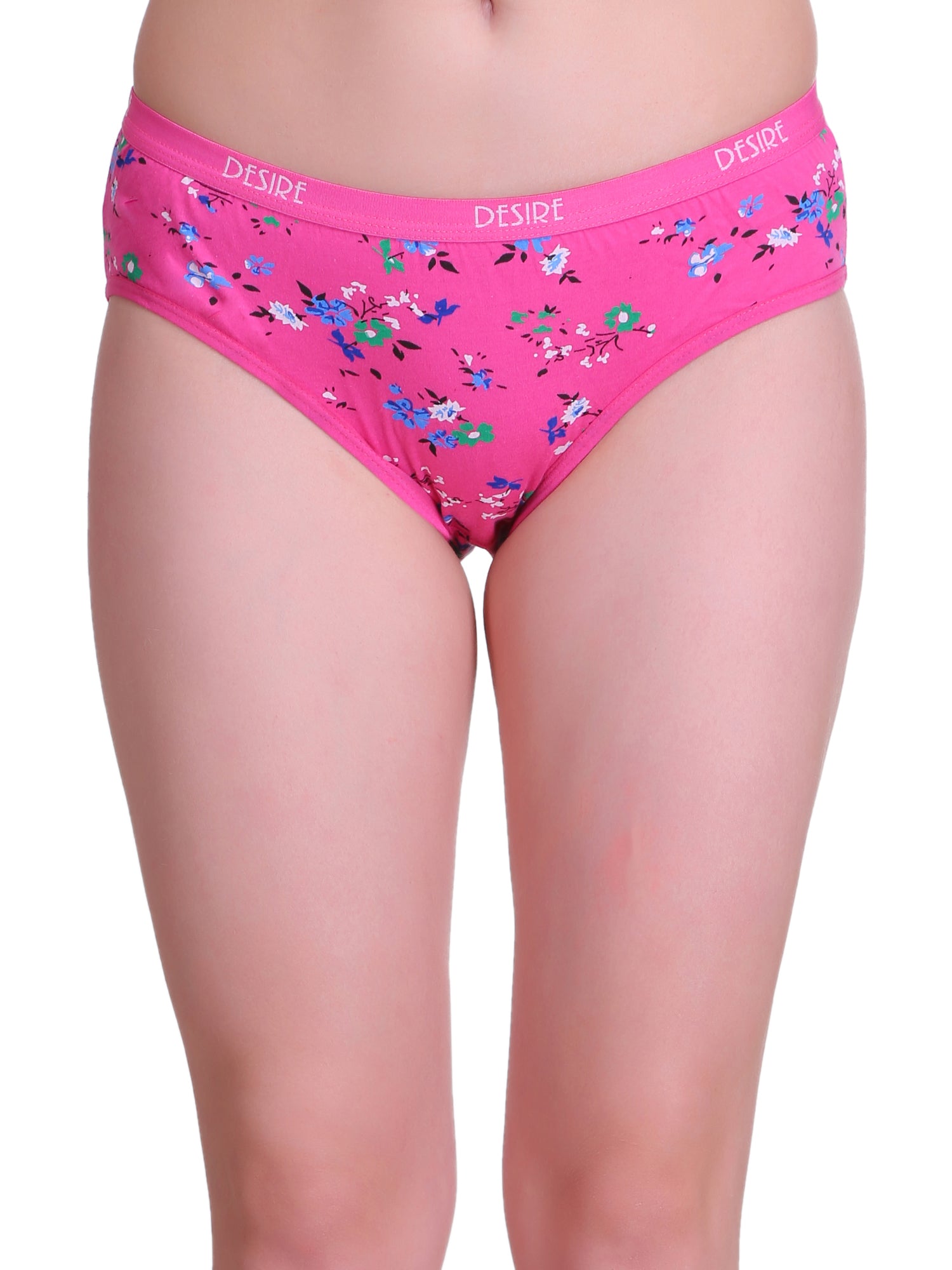 T.T. Womens Desire Panty Pack Of 12 assorted